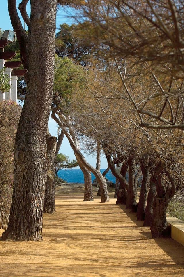 Camí de Ronda