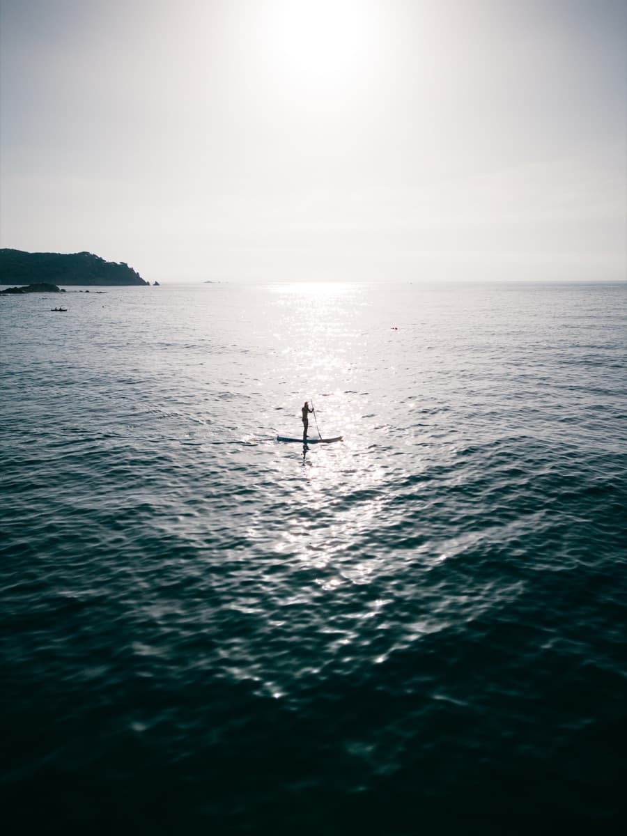 Paddle Surf